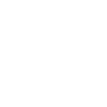 WordPress website design & development